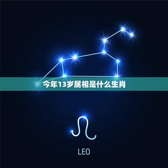 今年13岁属相是什么生肖，今年13岁的人属什么生肖？