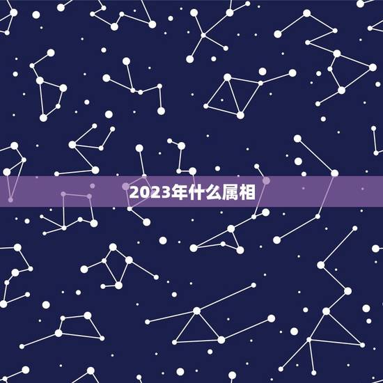 2023年什么属相 2023年什么属相