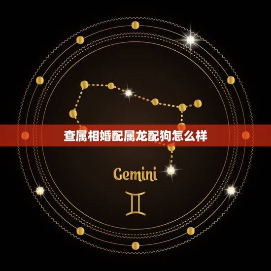 查属相婚配属龙配狗怎么样,属龙和属狗的婚配好吗 查属相婚配属龙配狗怎么样,属龙和属狗的婚配好吗
