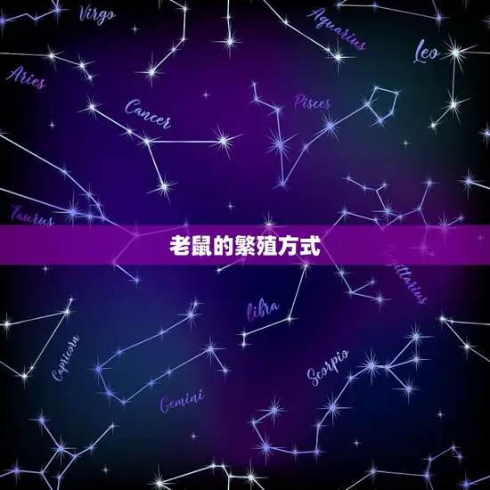 老鼠的繁殖方式