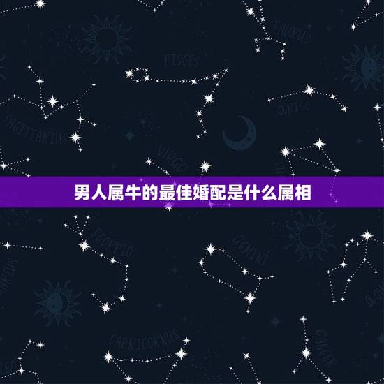男人属牛的最佳婚配是什么属相，属牛的和什么属相最配