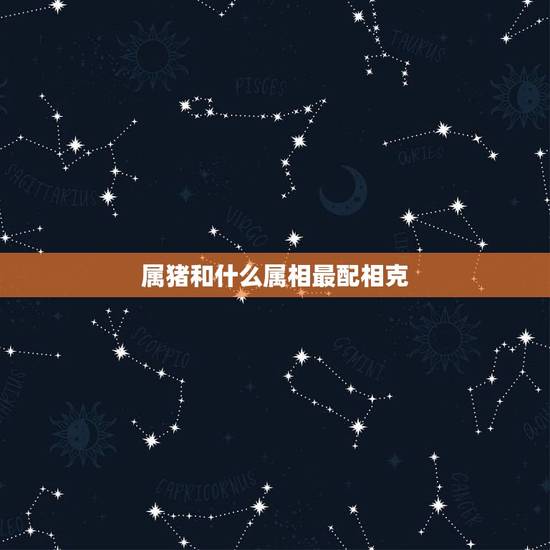 属猪和什么属相最配相克，属猪和什么属相相冲