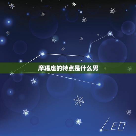 摩羯座的特点是什么男，摩羯座男最宠水瓶女