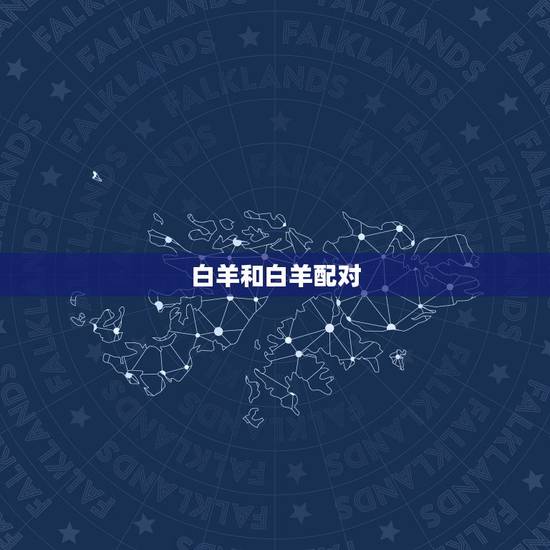 白羊和白羊配对，白羊座遇上白羊座