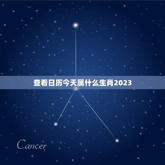 查看日历今天属什么生肖2023，2023年是什么生肖年