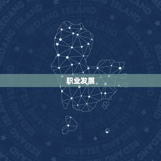 职业发展