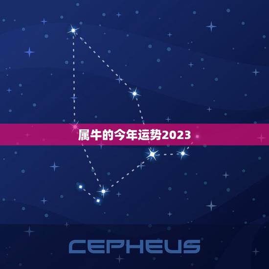 属牛的今年运势2023，1961年属牛人在2023年运势