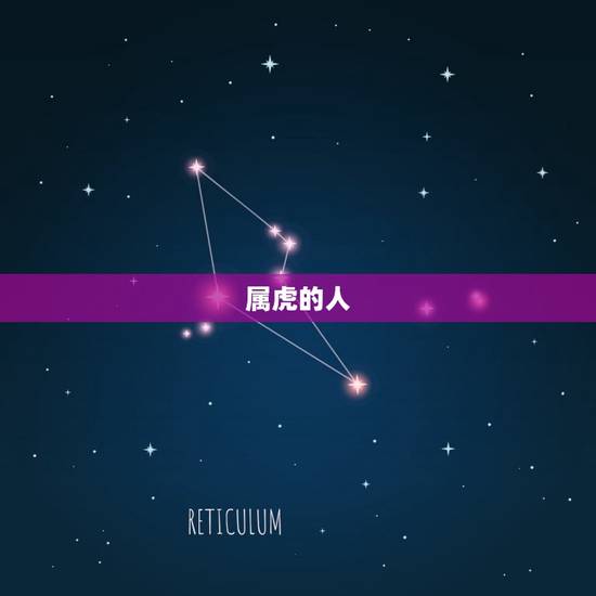 属虎的人 属虎的人