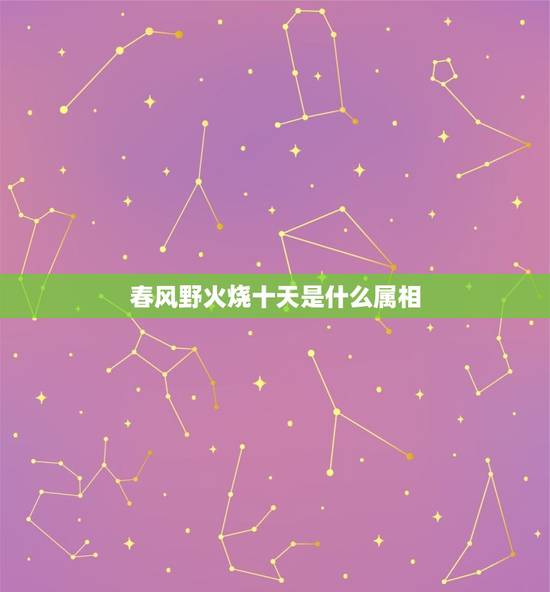 春风野火烧十天是什么属相，春风野火烧九天是什么生肖
