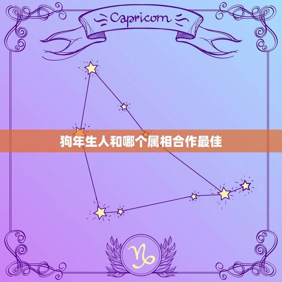 狗年生人和哪个属相合作最佳，属狗的人和什么属相相配最好
