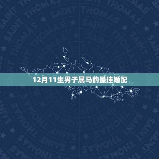 12月11生男子属马的最佳婚配，属马男的9月29日和属农历12月1