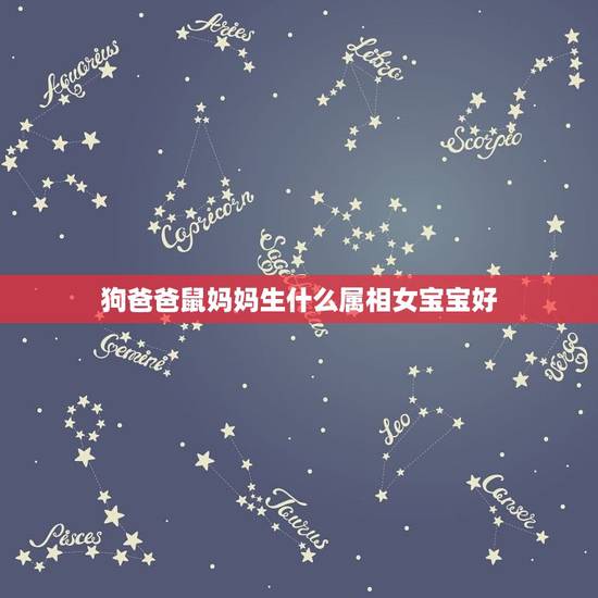 狗爸爸鼠妈妈生什么属相女宝宝好,男的属鼠女的属猪生个什么属相的宝宝好 狗爸爸鼠妈妈生什么属相女宝宝好,男的属鼠女的属猪生个什么属相的宝宝好