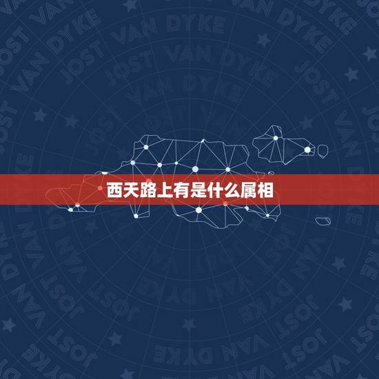 西天路上有是什么属相，西天路上伏群是什么生肖