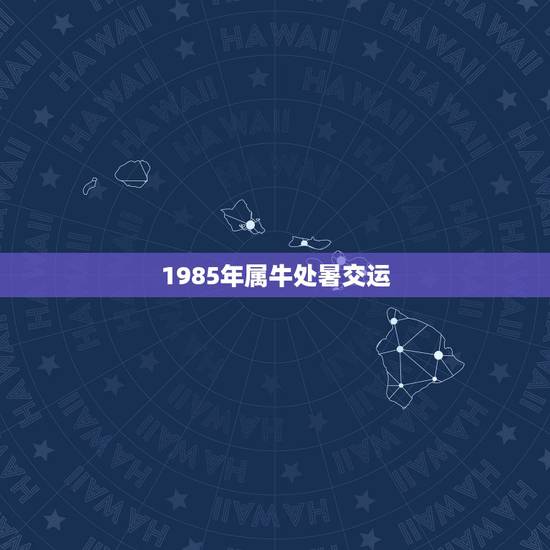 1985年属牛处暑交运，1985年属牛的五行属什么？
