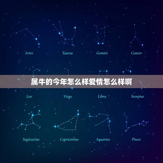 属牛的今年怎么样爱情怎么样啊(2023年属牛人的运势和爱情展望)