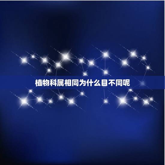 植物科属相同为什么目不同呢，怎么区分植物的种、属、科、目、纲、门、界？