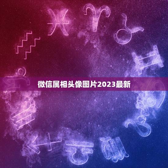微信属相头像图片2023最新，2023年十二生肖对照表