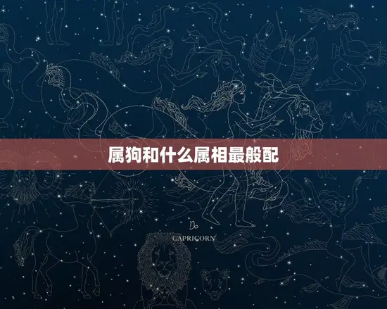 属狗和什么属相最般配