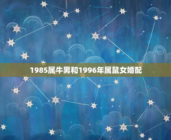 1985属牛男和1996年属鼠女婚配,85年属牛和哪年生肖鼠最相配 1985属牛男和1996年属鼠女婚配,85年属牛和哪年生肖鼠最相配