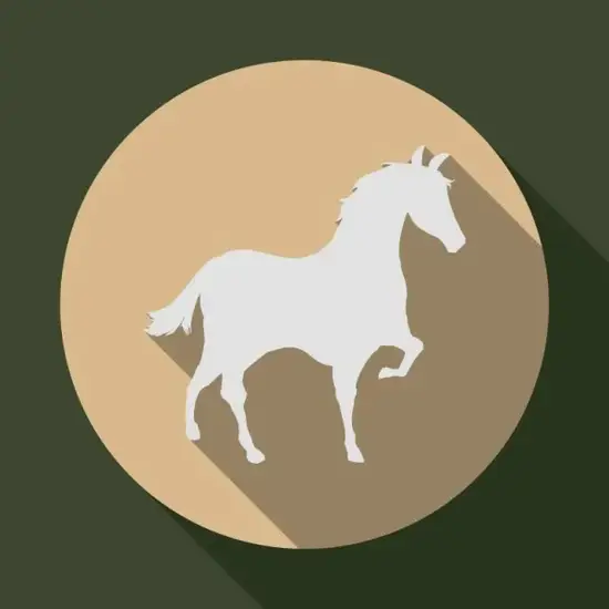 生肖马招财风水布局