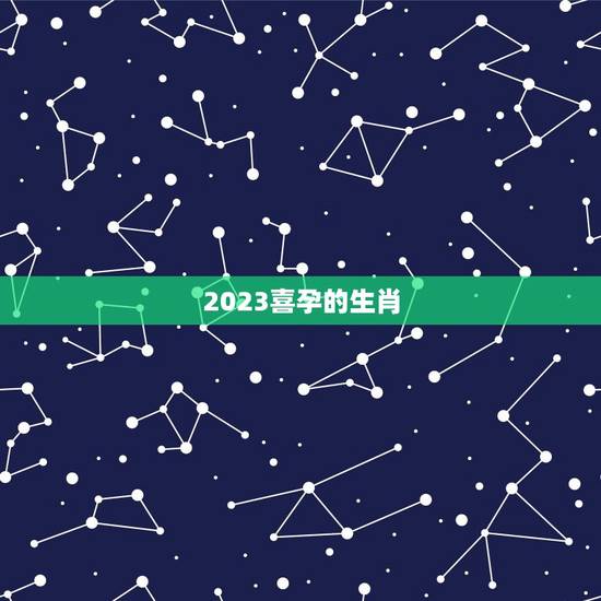 2023喜孕的生肖,2023属什么生肖,2023是什么生肖年 2023喜孕的生肖,2023属什么生肖,2023是什么生肖年