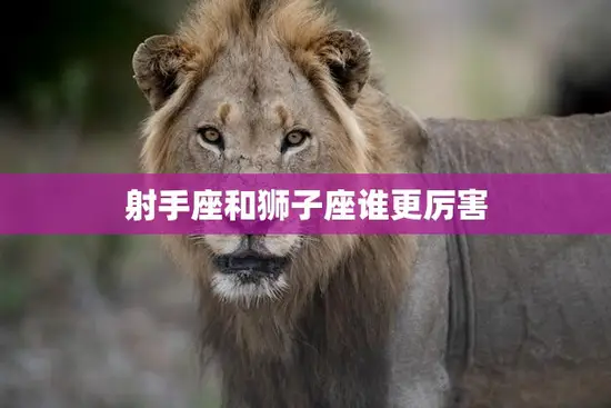 射手座和狮子座谁更厉害(星座大战狮子座的骄傲VS射手座的自由)