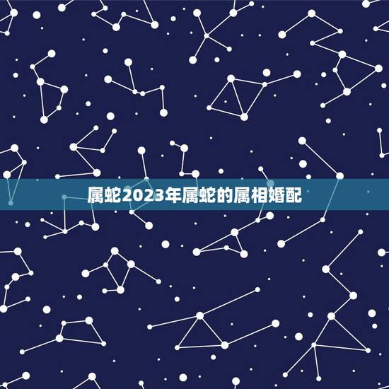 属蛇2023年属蛇的属相婚配，66年的女属蛇的属相婚配表