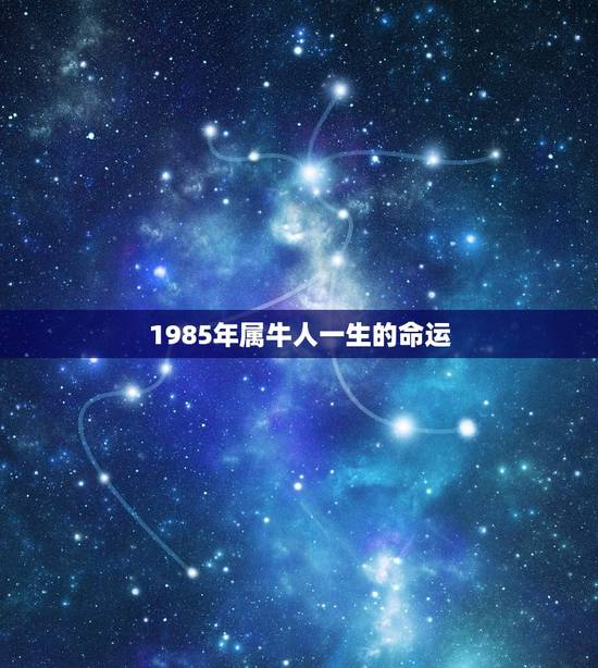 1985年属牛人一生的命运，属牛85年农历10月19一生的命运