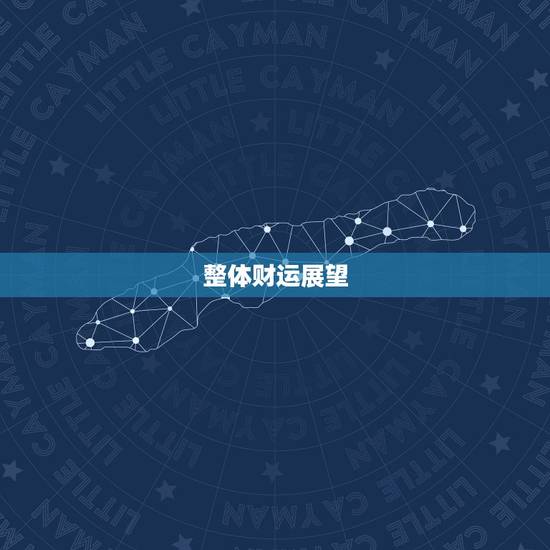 整体财运展望