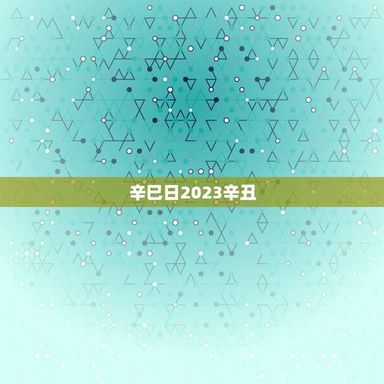 辛巳日2023辛丑，排盘2023年6月2日 2:4占问
