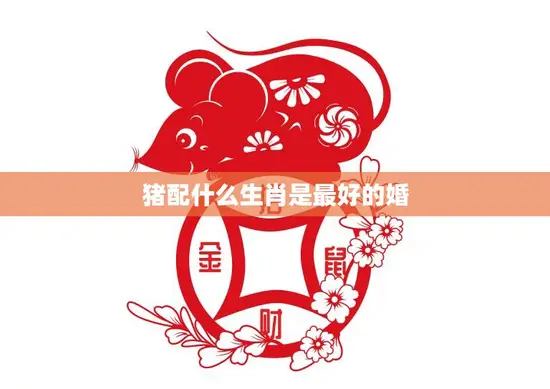 猪配什么生肖是最好的婚(揭秘最佳婚配组合)