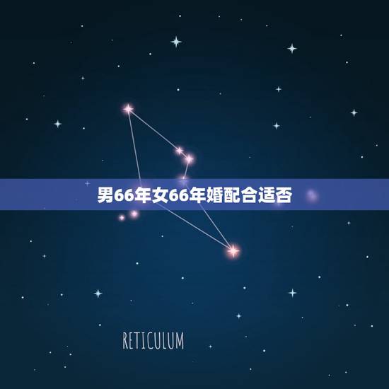 男66年女66年婚配合适否，大龄马找什么属相婚配好，66年男马，和65