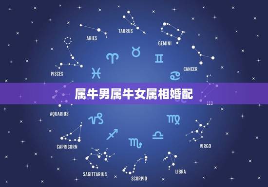 属牛男属牛女属相婚配，属牛的和什么属相最配 属牛的属相婚配表