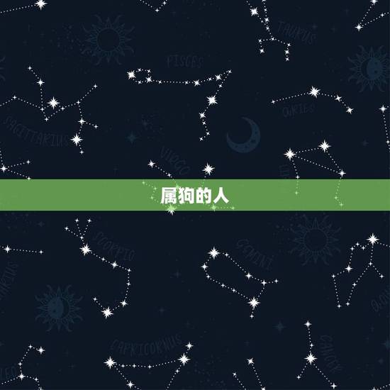 属狗的人 属狗的人