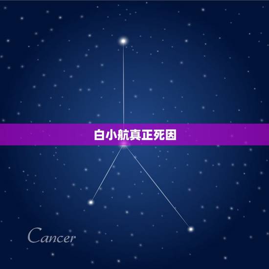 白小航真正死因，20年前向华强去京城，被白晓航怒扇耳光，如今