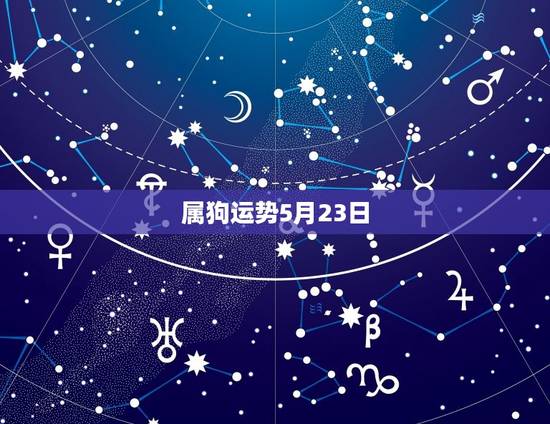 属狗运势5月23日