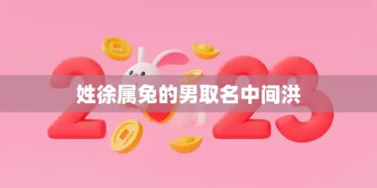 姓徐属兔的男取名中间洪(如何选择一个好名字)