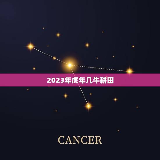 2023年虎年几牛耕田，2023年几龙治水几牛耕田几人分饼几日得辛几马
