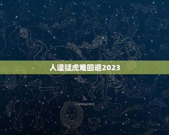 人逢猛虎难回避2023,请有缘之人解答这句话的真正含义 人逢猛虎难回避2023,请有缘之人解答这句话的真正含义