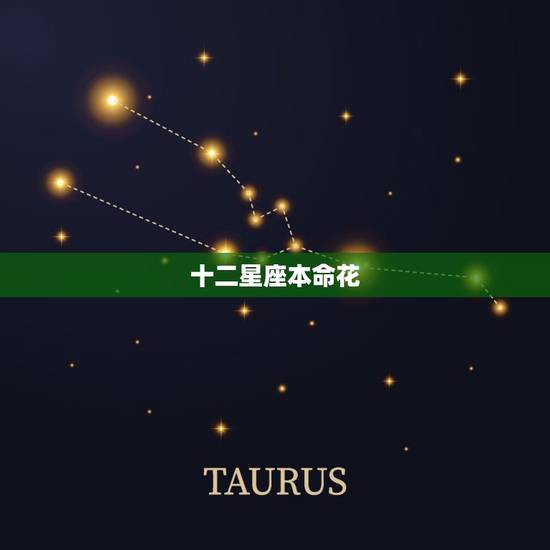 十二星座本命花 十二生肖的本命花