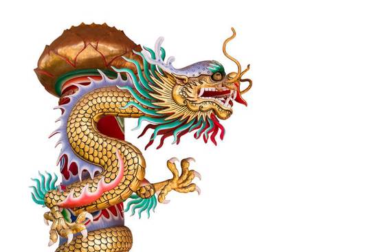 2024年龙年新木：传统与现代的碰撞，校园文化引发全新火花