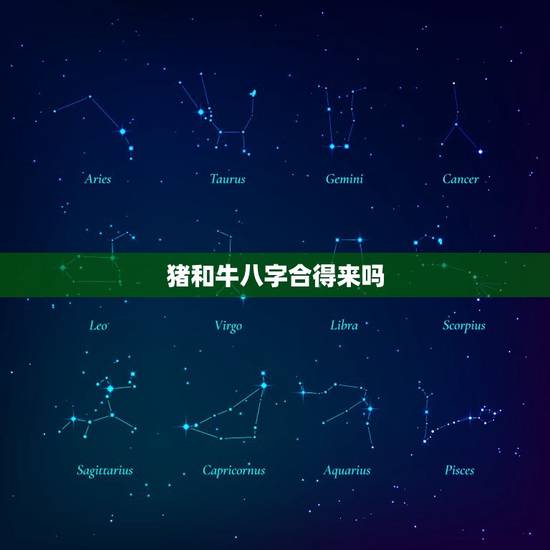 猪和牛八字合得来吗,属猪女和属牛男相配吗 猪和牛八字合得来吗,属猪女和属牛男相配吗