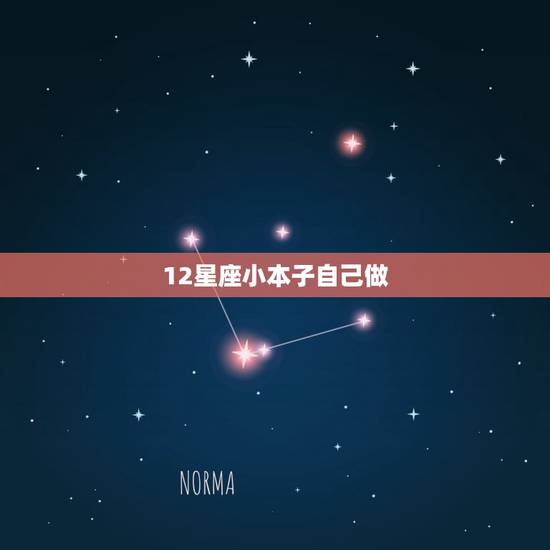 12星座小本子自己做，十二星座手帐图片