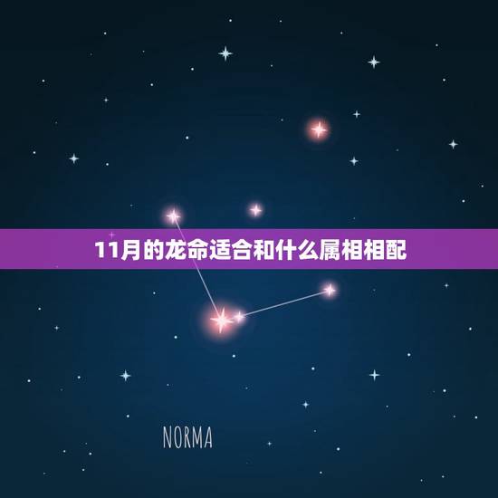 11月的龙命适合和什么属相相配，88年属龙的和什么属相最配？