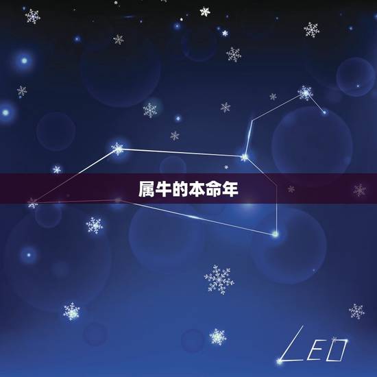 属牛的本命年，今年本命年属牛的应该注意什么时候