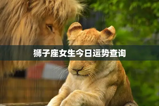 狮子座女生今日运势查询(狮子座女生今天的运势如何)