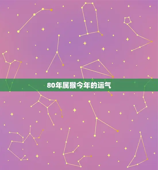 80年属猴今年的运气