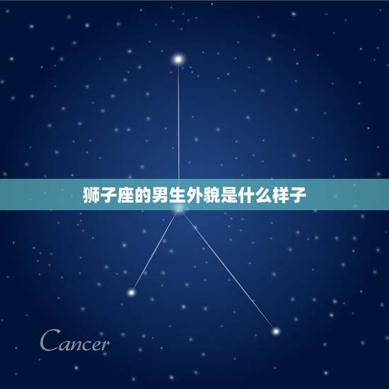 狮子座的男生外貌是什么样子,狮子座男颜值都好高 狮子座的男生外貌是什么样子,狮子座男颜值都好高