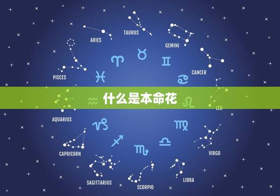 什么是本命花