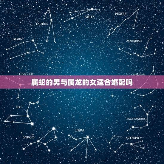 属蛇的男与属龙的女适合婚配吗，属蛇的和属龙的配吗